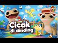 Cicak Cicak di Dinding - Lagu Anak Indonesia Populer