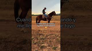 CABALLOS  #horse #enbuscadelosmejoresprecios #broncos #caballos #carreras #animals