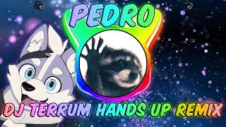 Jaxomy & Agatino Romero & Raffaella Carrà - Pedro (DJ Terrum Hands Up Bootleg Remix)