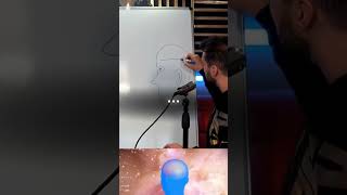 Tristan Trolls Andrew