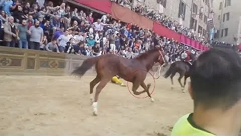 Quanto è pericolosa equitazione?