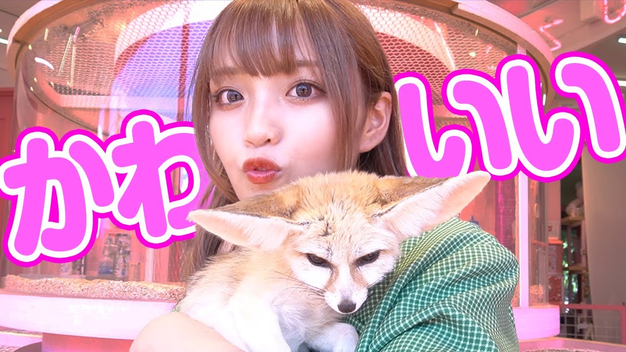 【動物カフェ】小動物と触れ合えるかわいい動物園に行ってみた🙊💕