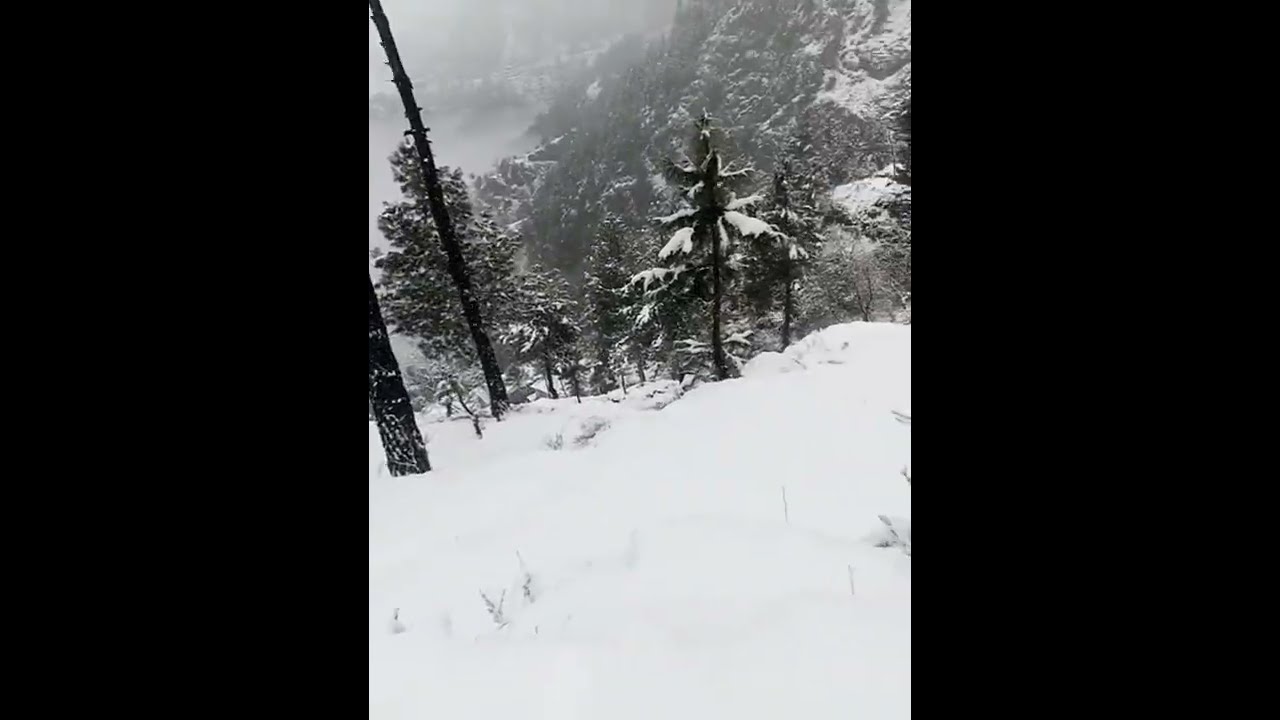 Snowfall of Shangla 2022