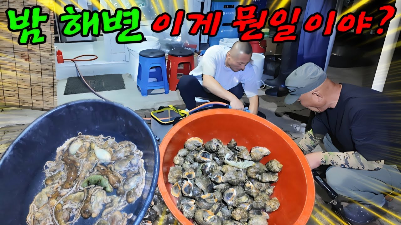 바다가 들썩들썩 일났다 일주일 식량을 주워온 날