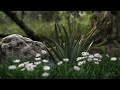 Aloe Vera Animation . 3dsMax