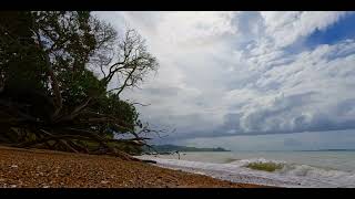ASMR relaxing ocean waves and NEW ZEALAND Native birdsong sounds background noise screenshot 5