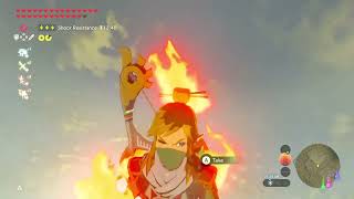 This is what 3,000 hours Of BotW elemental combat training looks like