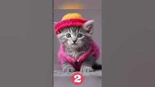 Cute cats with hats 😍 #cutekitty #kitten #cutecatshorts