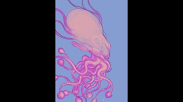 Fantasy Squid work in progress