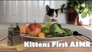 Kittens First ASMR / MUKBANG ft Cat Dad 