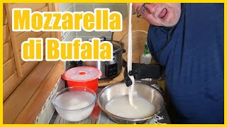 The Secret to Making Delicious Mozzarella di latte di Bufala! (Buffalo Mozzarella)