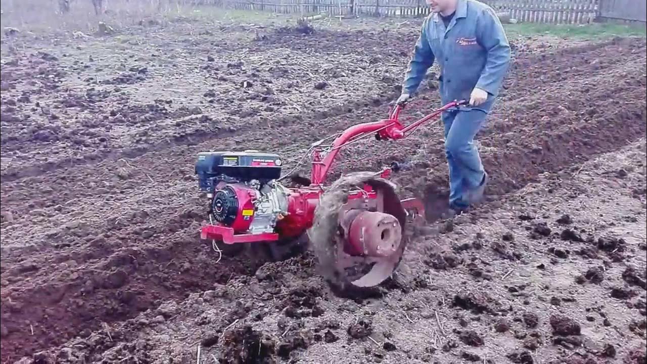 плуг на мотоблок мтз. вспашка мотоблоком мтз. осенняя вспашка. мотоблок мтз вспашка. вспашка мотоблоком мтз.