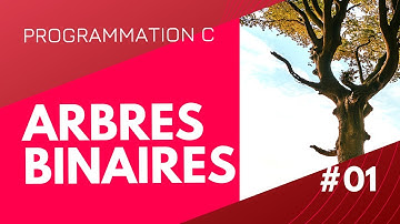 #01 - Les arbres binaires, introduction !