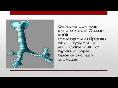 Бейне: Франция түшкіргенде Еуропа суық тиіп қалады ма?