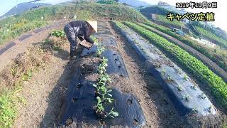 2019100903【第三部】畑の様子とキャベツ定植#094