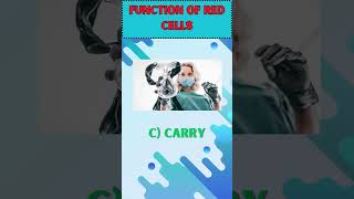 Know Your Body: Human Anatomy GK Quiz