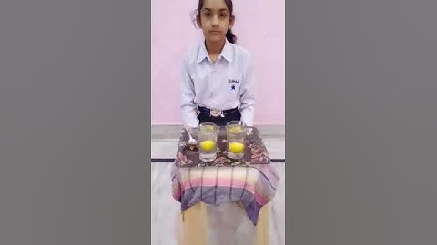 Tamanna a student of class 10th from Suraj School Rewari - Topic density of salty water