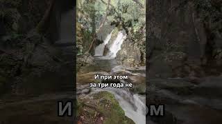 Поездка, которую переносят третий год