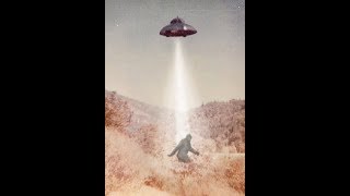 Sasquatch & UFOs