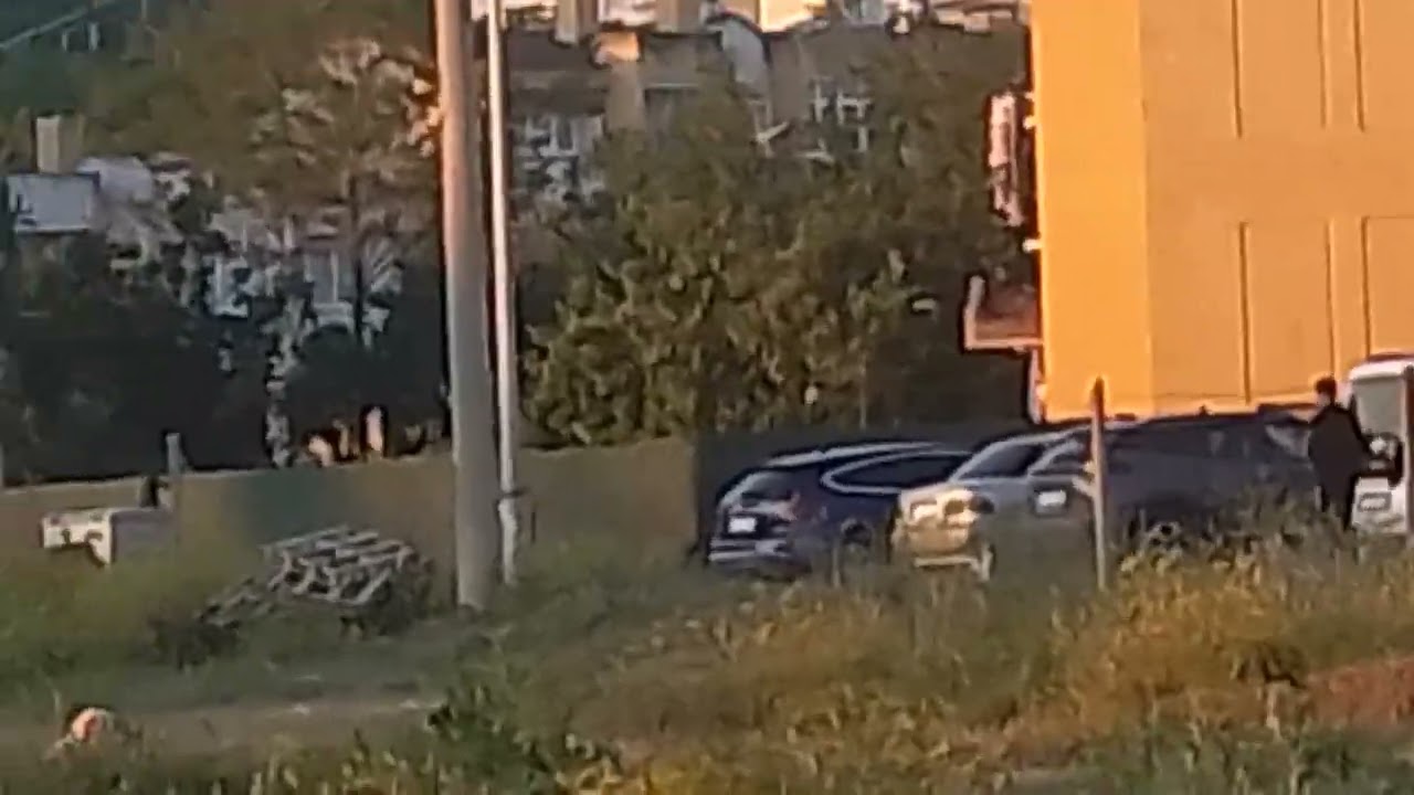 İbo 49  Baranın tanıdıkları 3