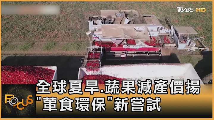 全球夏旱.蔬果減產價揚 「葷食環保」新嘗試｜秦綾謙｜FOCUS全球新聞 20221011 - 天天要聞