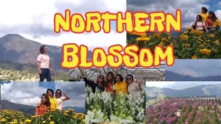 Famous Northern Blossom with my friends!