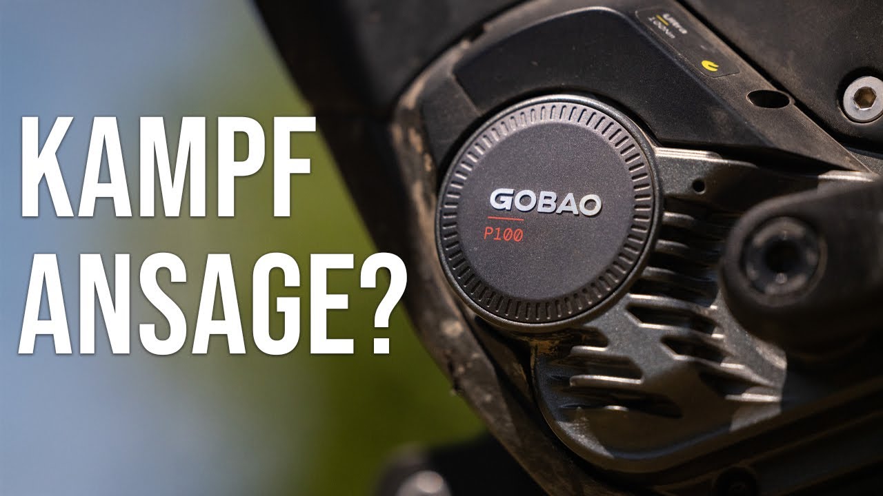 GOBAO P100 Motor im Test (Hepha): Stärker & standfester als die Platzhirsche?