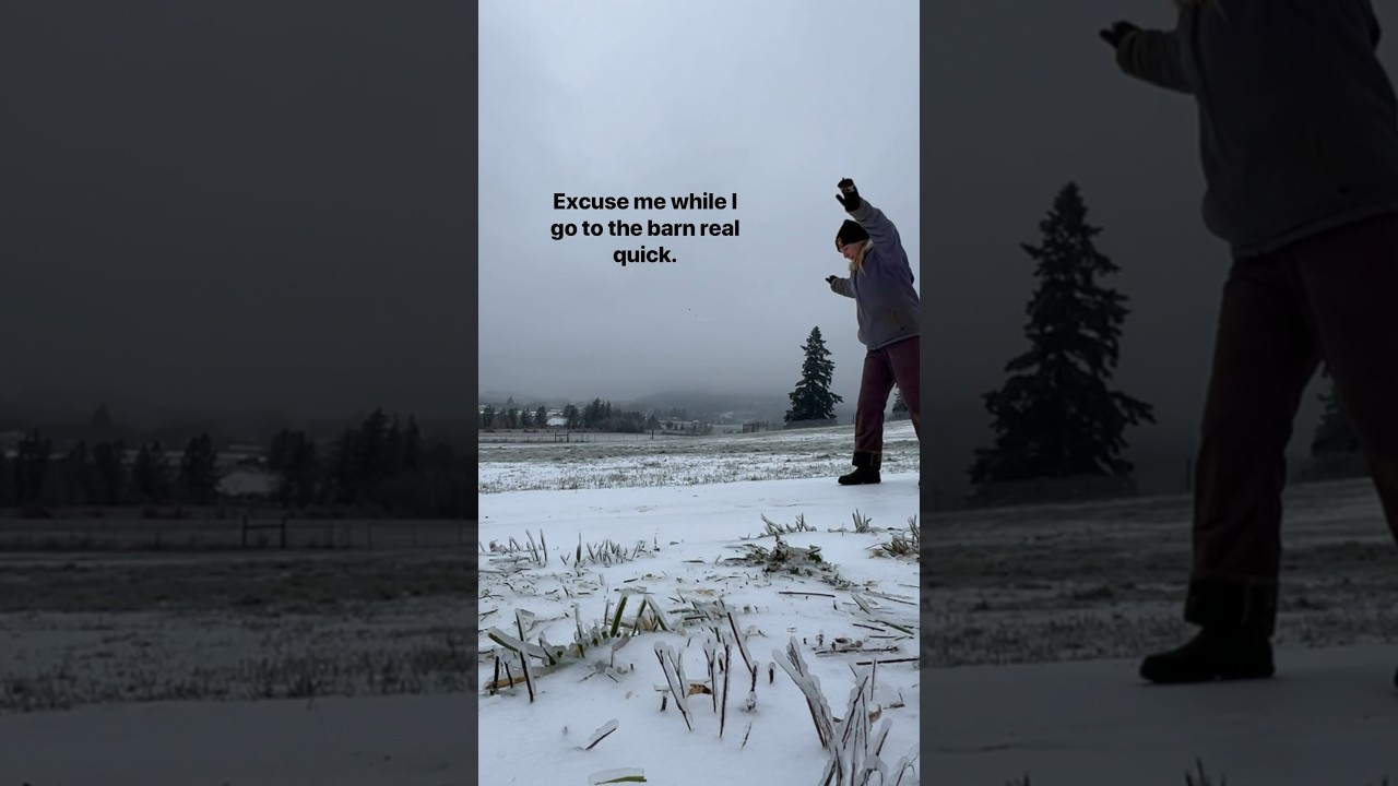 Let Me Head to the Barn Real Quick… 