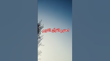 احترم القرآن الكريم #قرآن #لايك #اكسبلور #المصحف #الرحمن