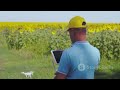 How Drones Are Changing Agriculture