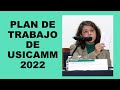 Soy Docente: PLAN DE TRABAJO DE USICAMM 2022