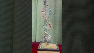 my new #art #in this #biology sacter# short video 🥰#🥰🥰😎😎😎