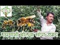 मधमाशी बोलावण्यासाठी एकदम सोपा उपाय honey bee desi jugaad method home made