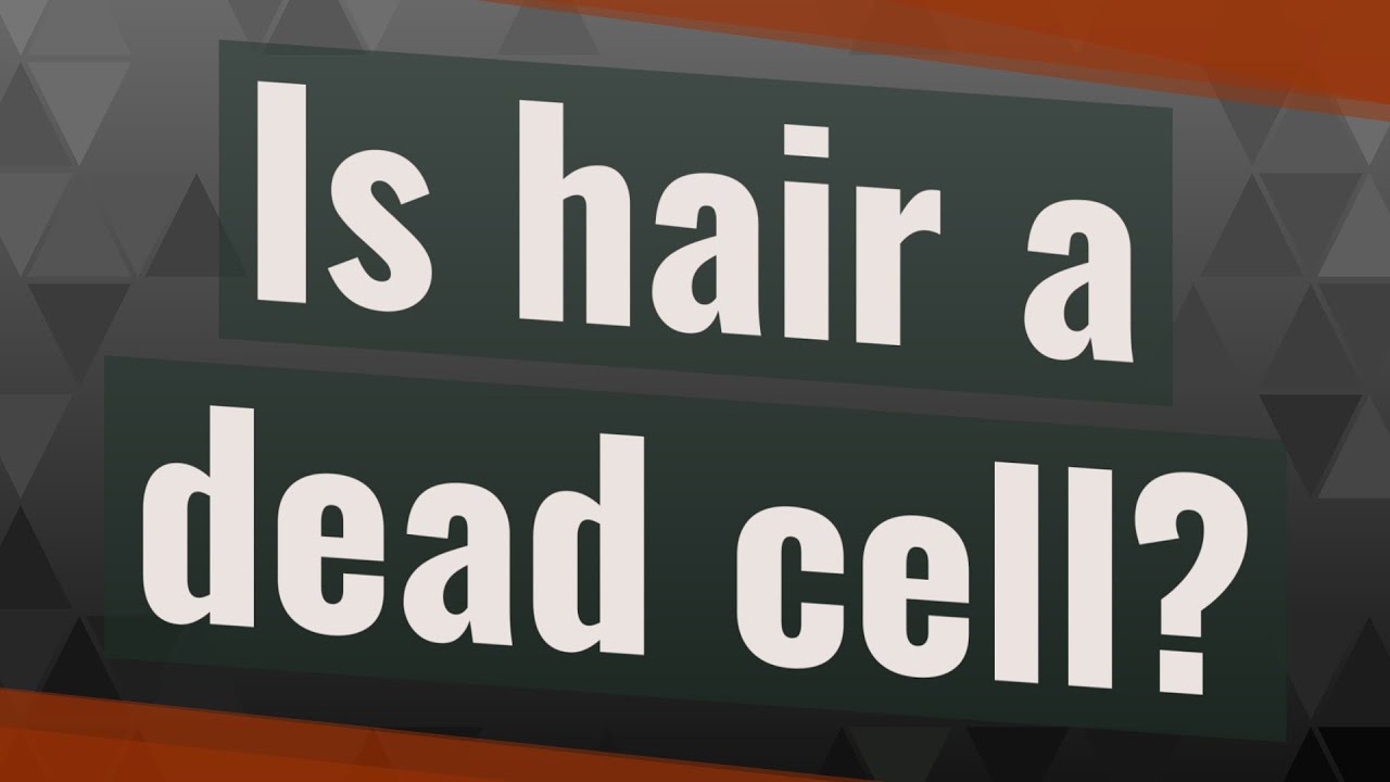 Is hair a dead cell? YouTube