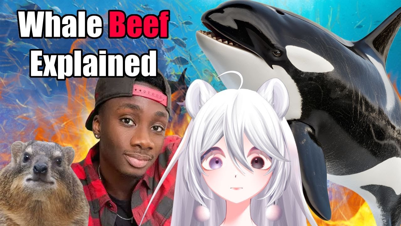 Объяснение китовой говядины | Casual Geographic React