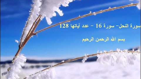 سورة النحل للشيخ فاروق ماحي  FAROUK MAHI