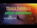 MÚSICA XAMÂNICA ANCESTRAL - RODA DE CURA, CHAKRAS, EQUILÍBRIO , HARMONIA, CRIAÇÃO by AURIO CORRÁ .