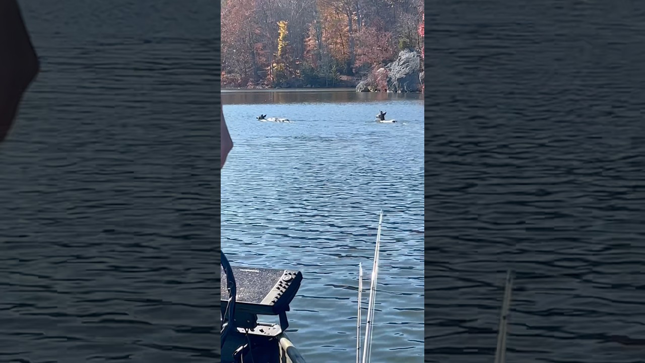 It’s about that time of year again 