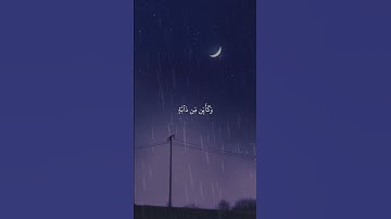 الأية 59 و 60 من سورة العنكبوت 🎧