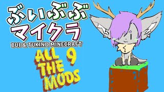 【Minecraft】ぶいぶぶマイクラサーバー！！！！！【Vtuber】