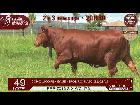 LOTE 49 CONQ 1030