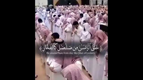 تلاوة في قمة الروعة تأخذك إلى عالم آخر  |  الشيخ ياسر الدوسري..