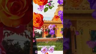ডিজে নিউ সং #lifeisbutadream #youtube #release #song #funny