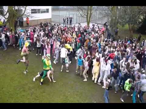 Harlem Shake Orchards Academy - Official Version