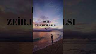 Hem Zehi̇r ,Hem Balsin