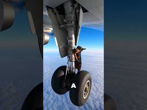 El pobre perro finalmente conoció a su dueño