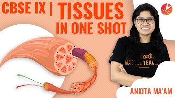 Tissues in One-Shot | CBSE Class 9  Biology | Science Chapter 6 | Tissues Crash Course NCERT Vedantu
