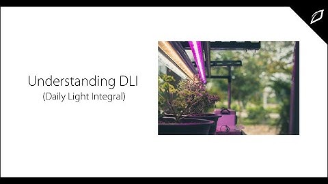 Understanding DLI (Daily Light Integral)