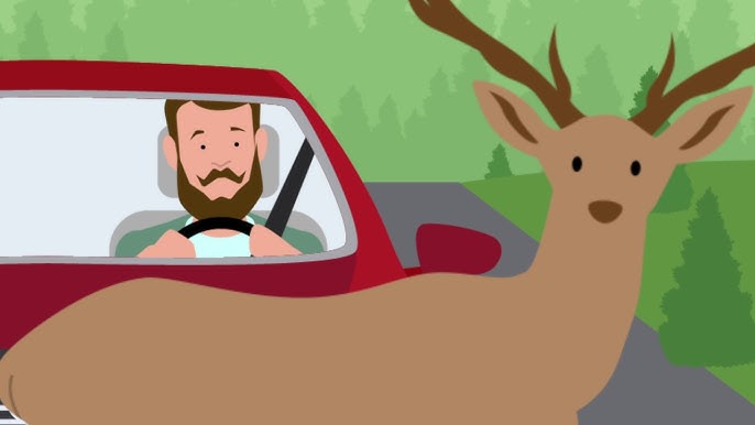 Do Those Deer Warning Whistles On Your Car Really Work? [VIDEO]