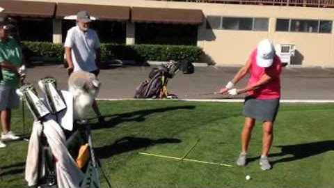 PGA PGM Level 2: Video 5 Pre-swing & In-swing Fundamentals